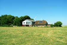 Das Ferienhaus Reu&szlig;enkoog liegt ist umgeben von Wiesen, Weiden und Feldern.