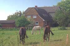 Die Ferienwohnung ist das ideale Feriendomizil f&uuml;r die ganze Familie, ob gro&szlig; oder klein oder 2 Paare mit Kindern . Gro&szlig;er Garten bietet viel Raum f&uuml;r Spiel und Fitness. Die Haush&auml;lfte auf 2 Etagen bietet Raum, ca 100 m&sup2;, f&uuml;r 2-6 (mit Kindern evtl. 8) Personen. Durch das geschlossene Treppenhaus auch f&uuml;r die kleine Familie ideal, direkter Ausgang auf Terrasse und gro&szlig;en Garten mit Gartenm&ouml;beln und Strandkorb. Die Spielscheune mit Tischtennis und Fahrr&auml;dern, Waschraum mit Waschmaschine und Trochner, B&uuml;gelutensilien l&auml;sst keine W&uuml;nsche offen. Endpreis inkl. Energie und Nebenkosten.